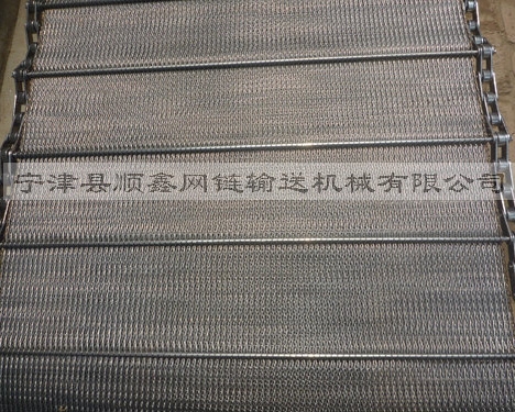 河南人字型链条网带