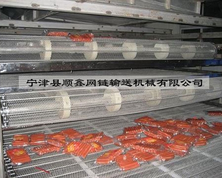 河南食品网带