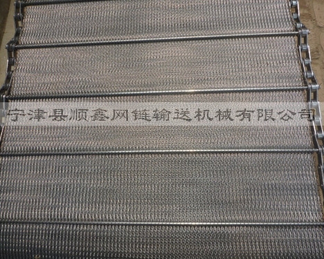 河南人字型链条网带